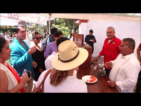 Puerto Vallarta Festival Raicilla Travel Guide Video Photo Jalisco Mexico