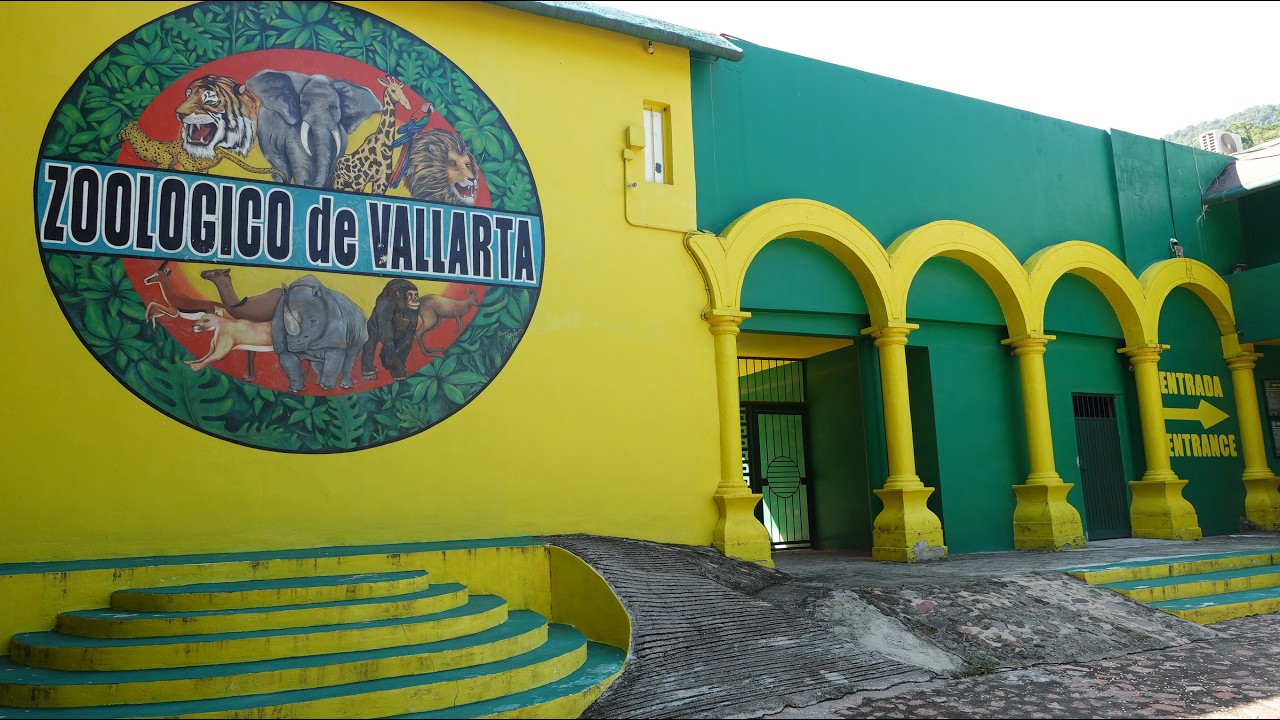 Zoo Puerto Valarta 2026 How to get there and what to see.