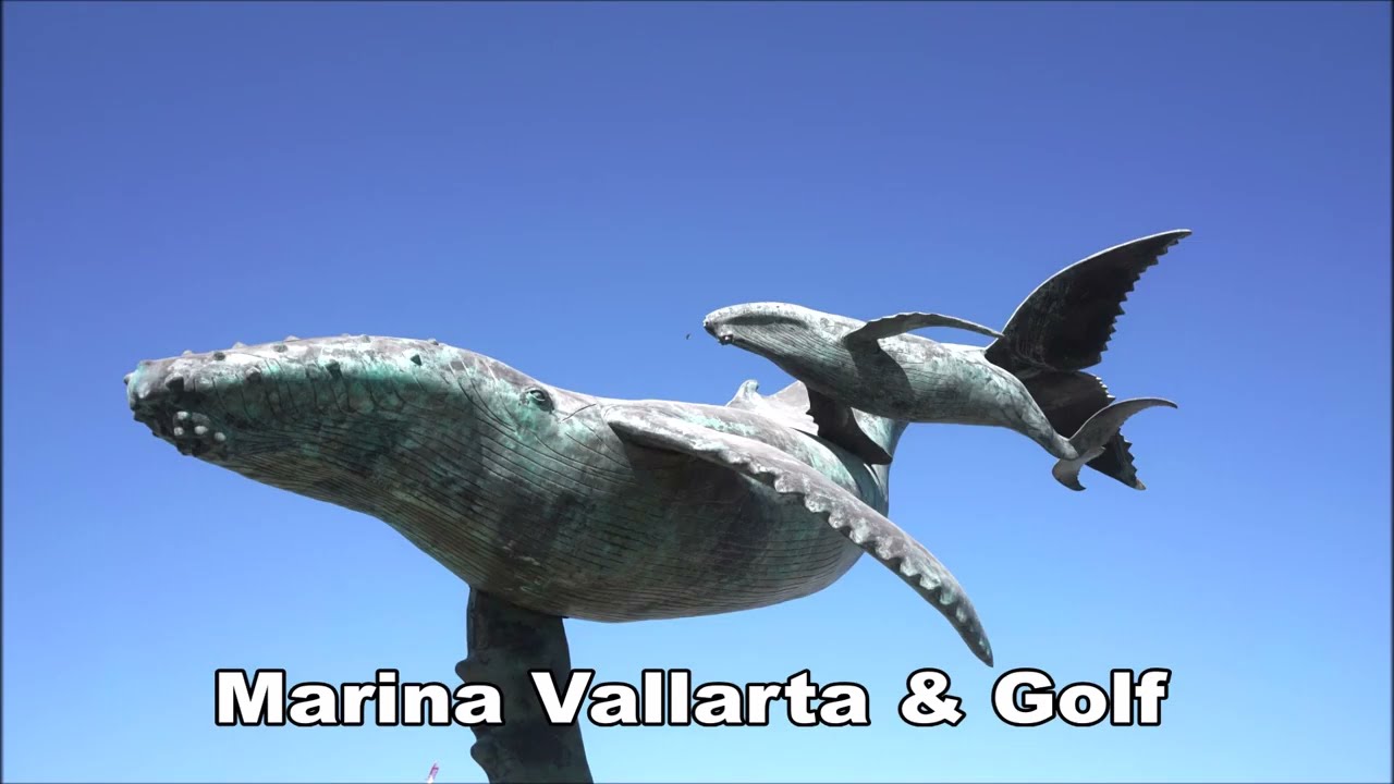 Marina Vallarta & Golf Puerto Vallarta Travel Photo