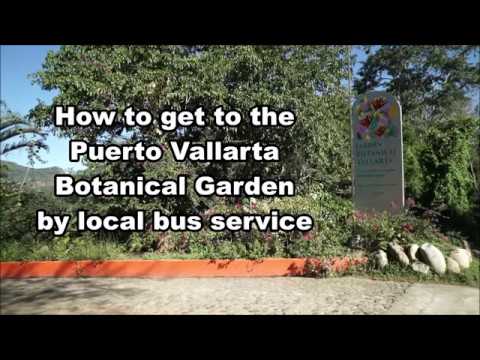 How to get to the Puerto Vallarta Botanical Garden by Local Bus Service