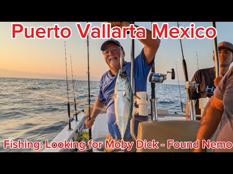 Puerto Vallarta Mexico - Fishing - Hooking into Moby Dick of a Sailfish 