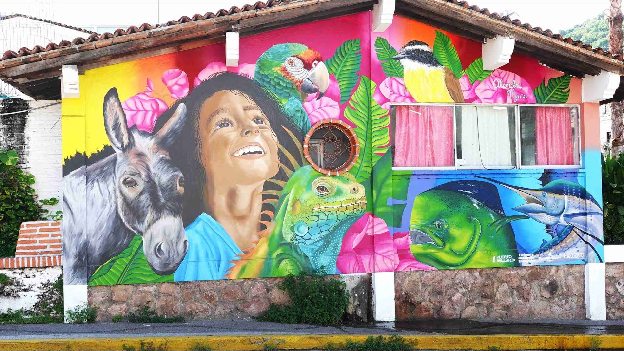 Puerto Vallarta Street Art Murals Collection