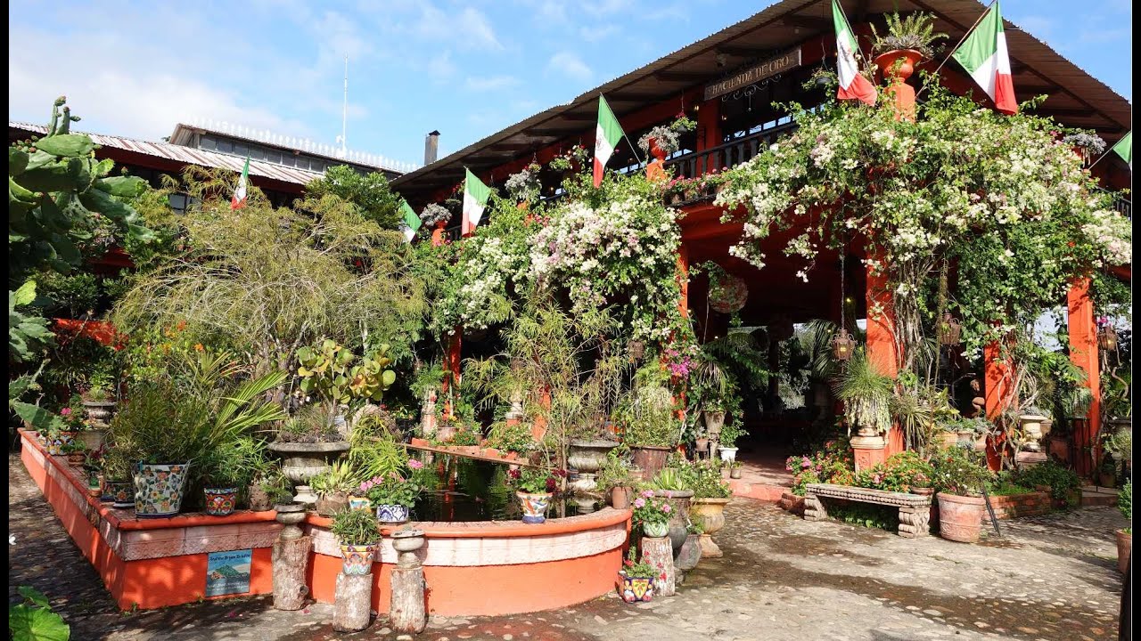 How to get to the Puerto Vallarta Botanical Garden!