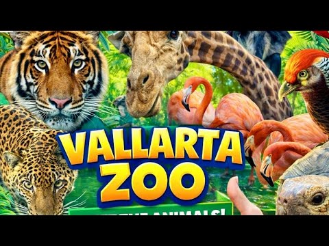 🐾 Wild Encounters in Mismaloya: A Day at Vallarta Zoo
