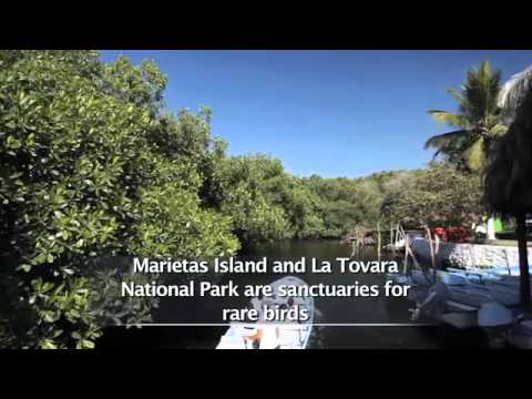 Travel Video Discover All About Riviera Nayarit Tourism PromovisionPV.com Video Photo