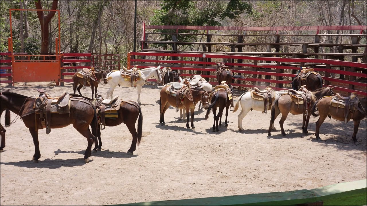 Canopy River Adventure, Puente Jorullo, Puerto Vallarta Travel Photo Video