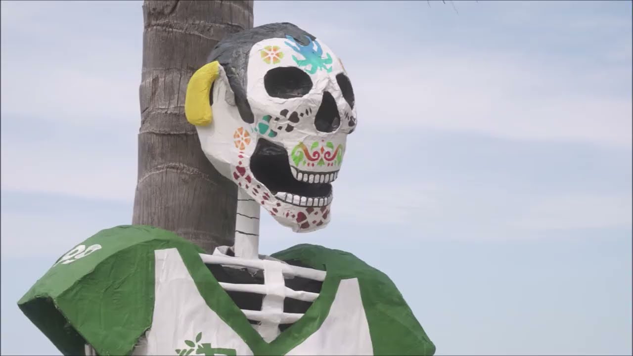 Dia de Muertos 2022 Puerto Vallartra Travel Photo (Day of The Dead) 2022 Travel Video