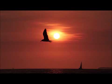 Puerto Vallarta Sunsets Travel Photos Video