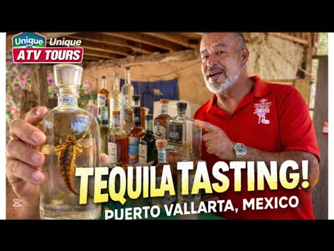 🍹 Understanding the Different Types of Tequila
