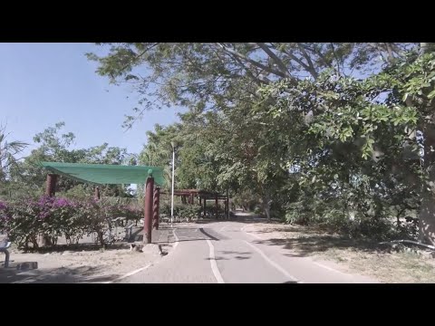 Discover Parque Lineal Puerto Vallarta Rio Pitillal Eco Tourism