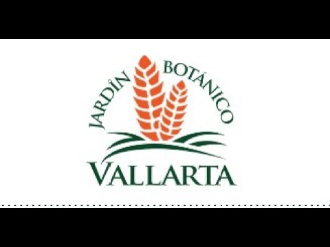 Botanical Garden Puerto Vallarta Mexico's as most important landmarks