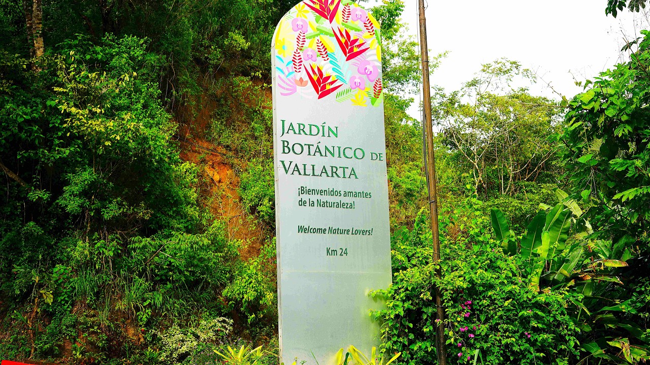 Puerto Vallarta Botanical Garden: The Ultimate Travel Guide.