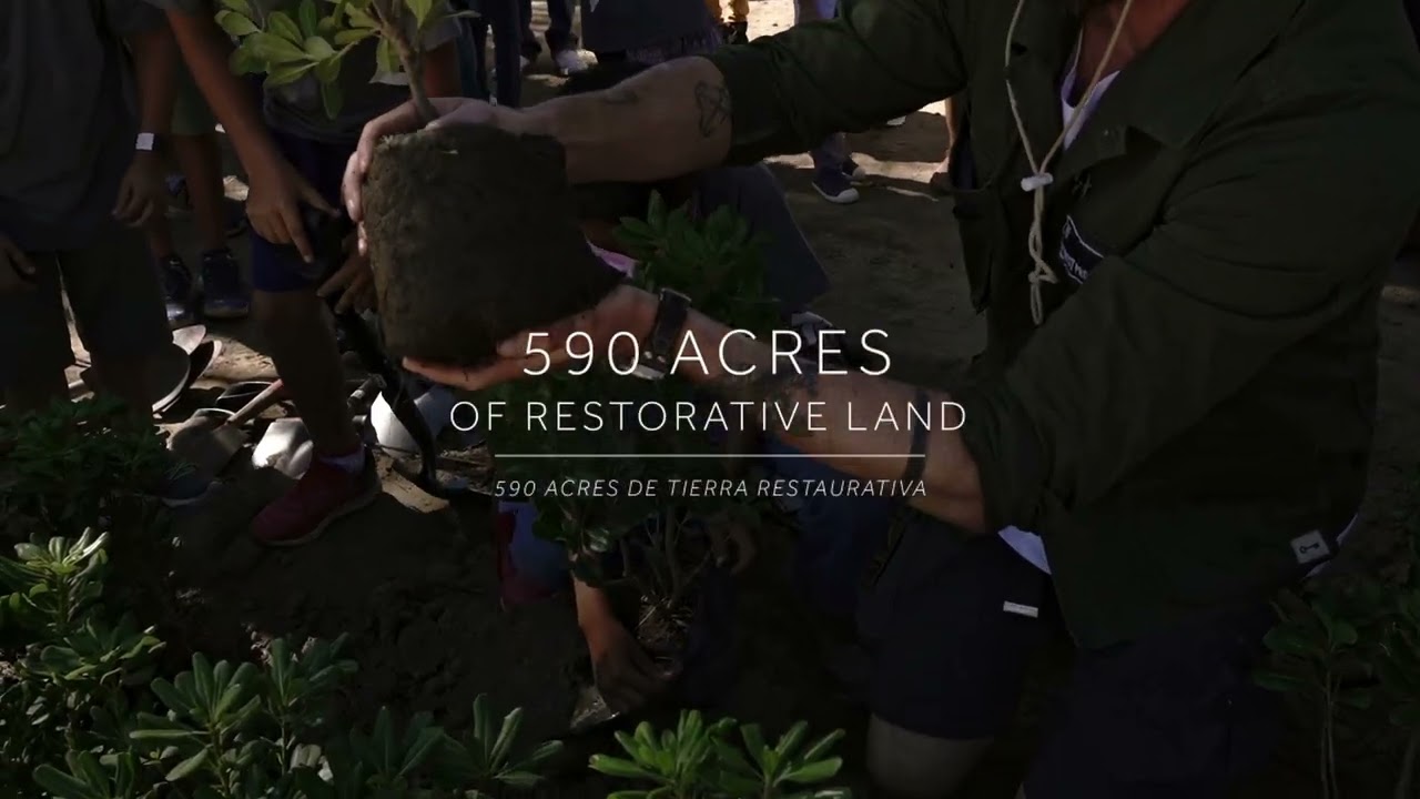 Xala: Restorative Destination
