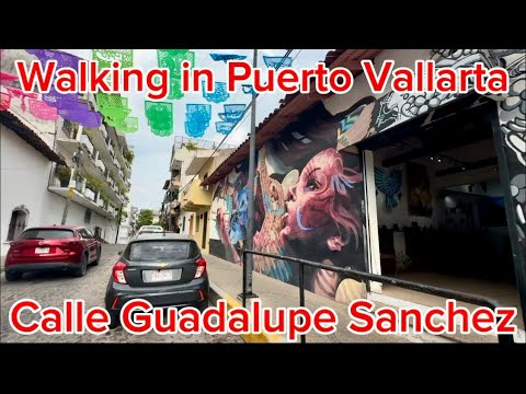 Walking Through Calle Guadalupe Sánchez — Puerto Vallarta’s Hidden Art Corridor
