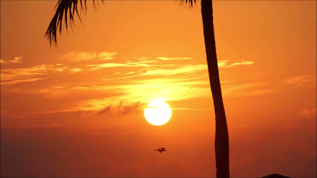 Puerto Vallarta Sunsets Travel Photo, Travel Video Sunset Lovers.
