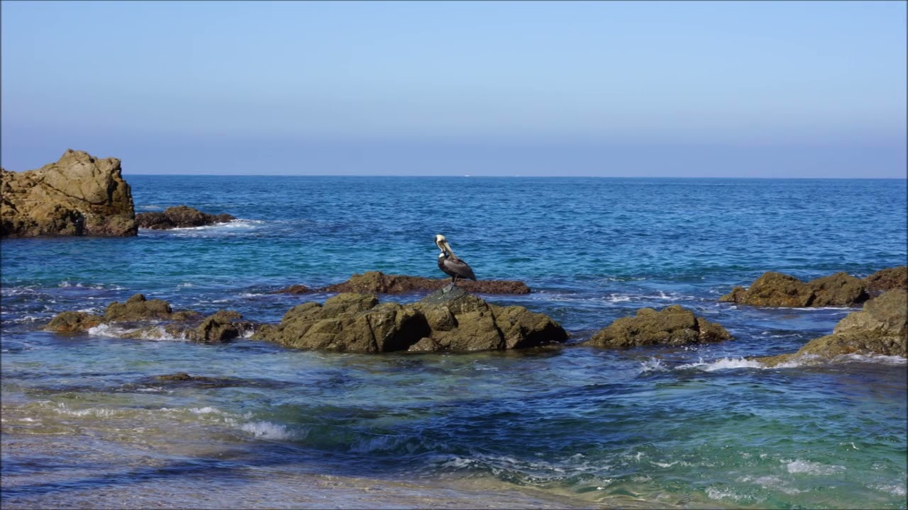Puerto Vallarta Amapas - Conchas Chinas Beach Shore Photos. Travel Photos Travel Video