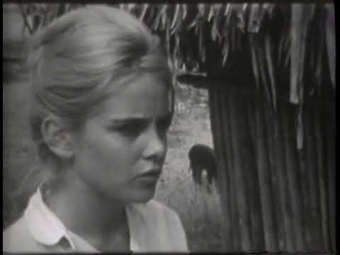 ON LOCATION: NIGHT OF THE IGUANA - Hollywood and the Stars