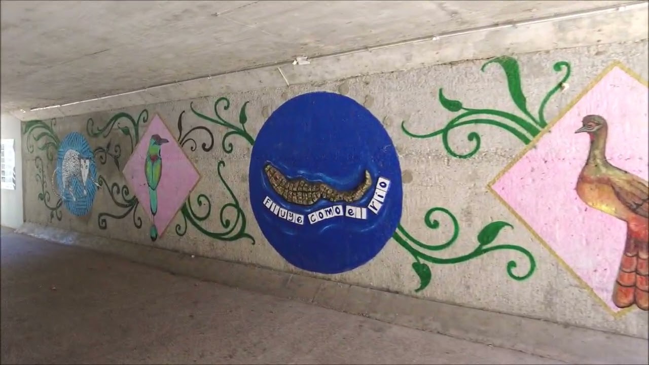 Ultimate Travel Guide Puerto Vallarta Romantic Zone
