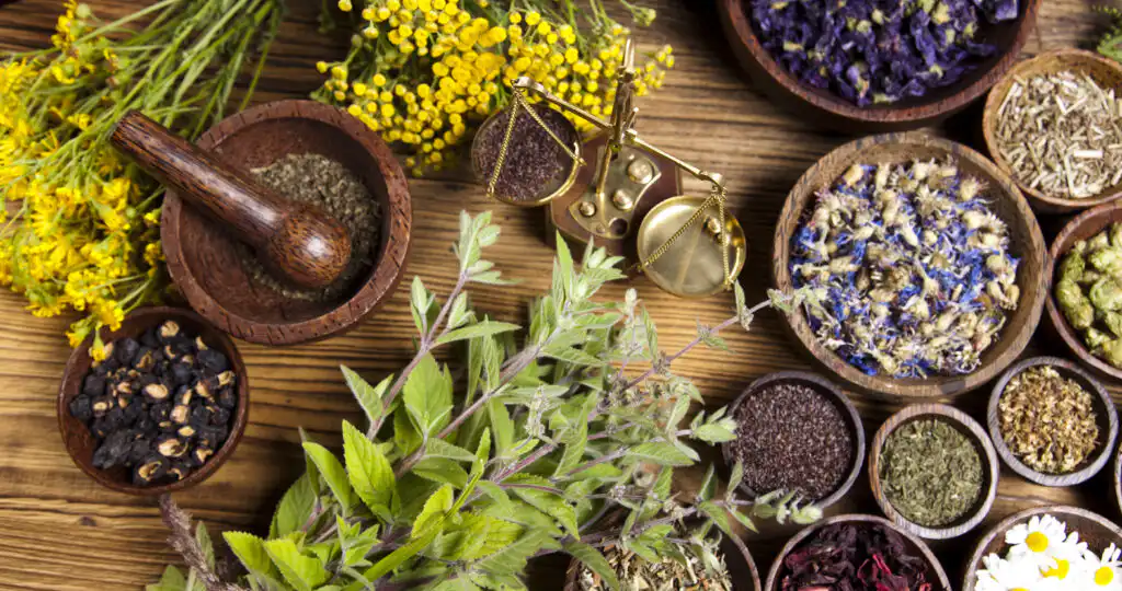 Alternative Medicine Puerto Vallarta