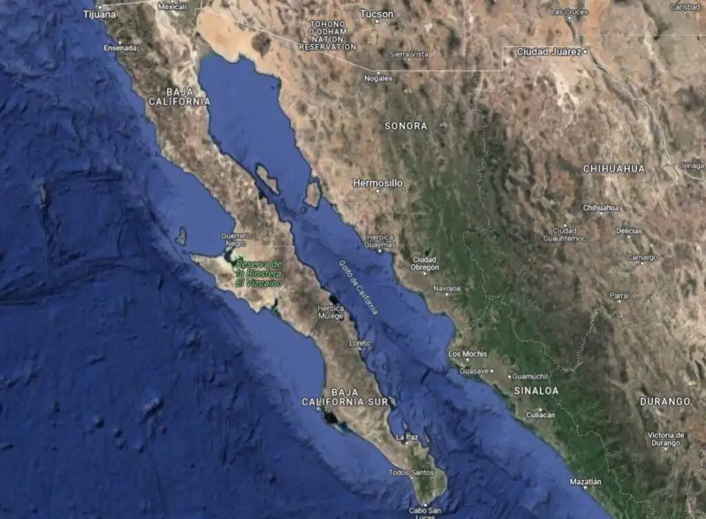 Connaitre les vins Mexicains a Puerto Vallarta