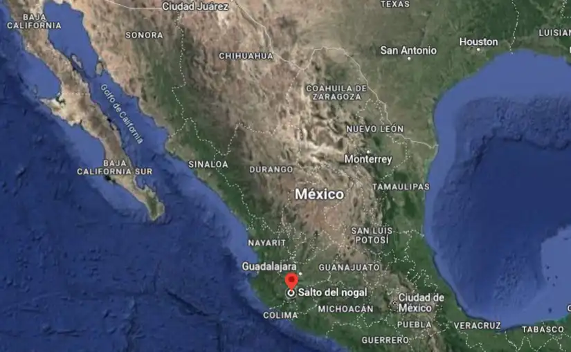 Connaitre les vins Mexicains a Puerto Vallarta