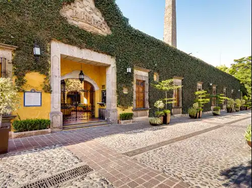 Visit The World Famous City of Tequila