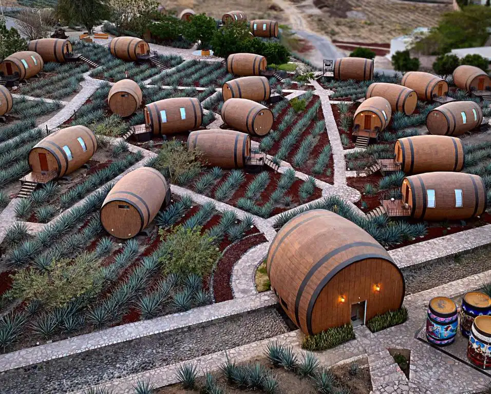 Visit The World Famous City of Tequila