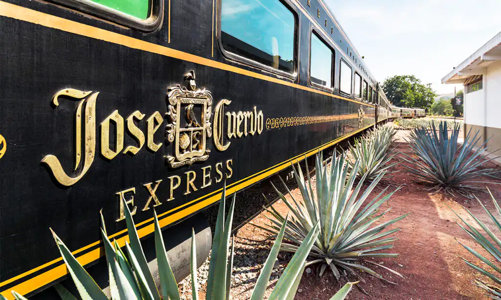 Visit The World Famous City of Tequila