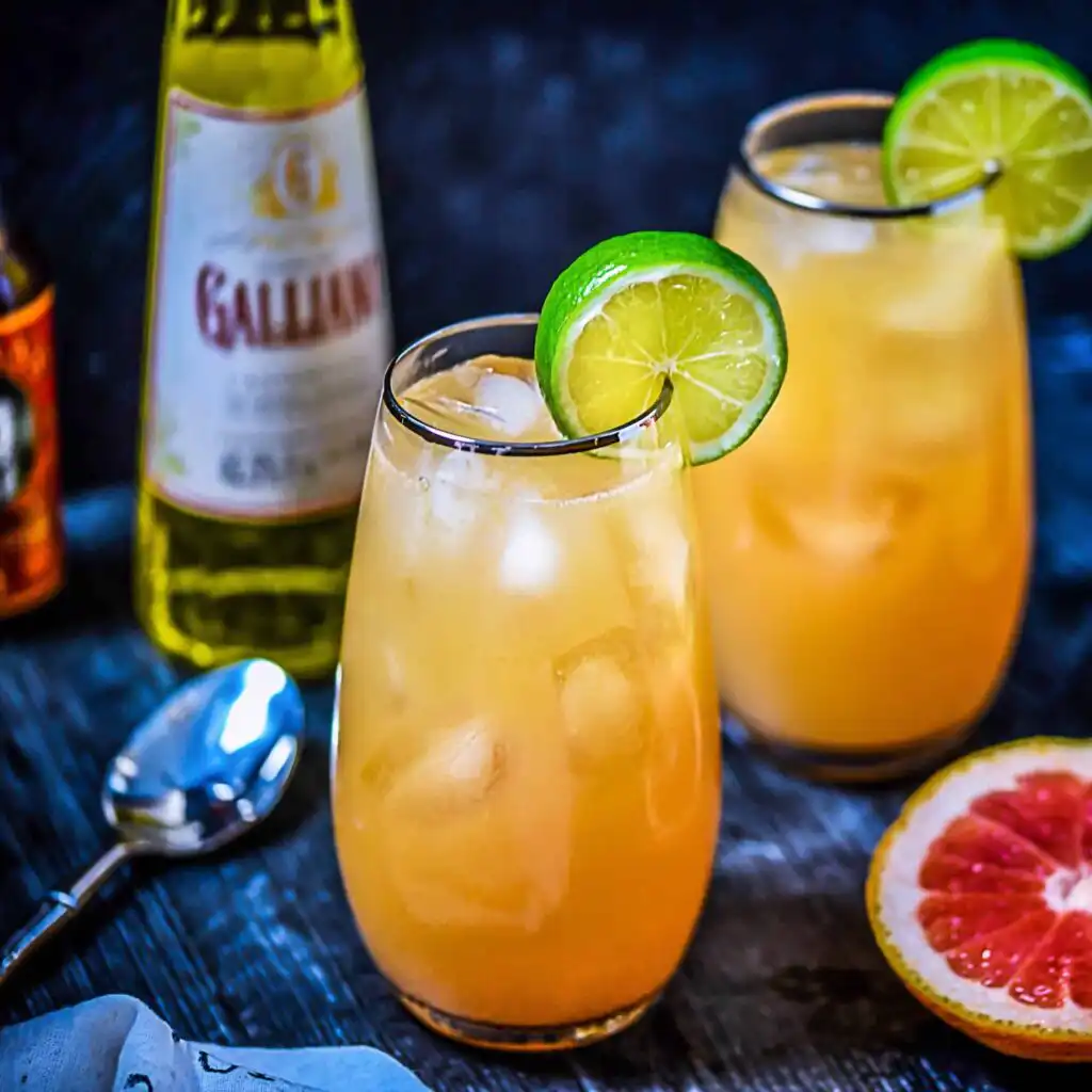 Jalisco Originals: Raicilla & Tequila