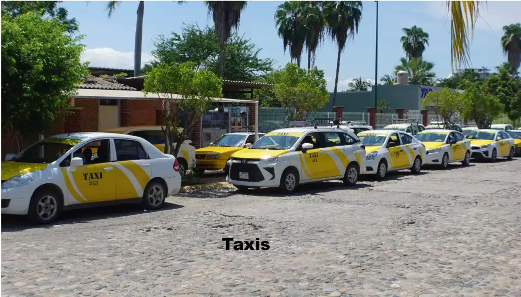 Discover Puerto Vallarta and Riviera Nayarit.