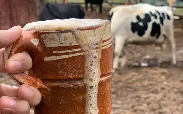 Typical drinks of Jalisco you must try