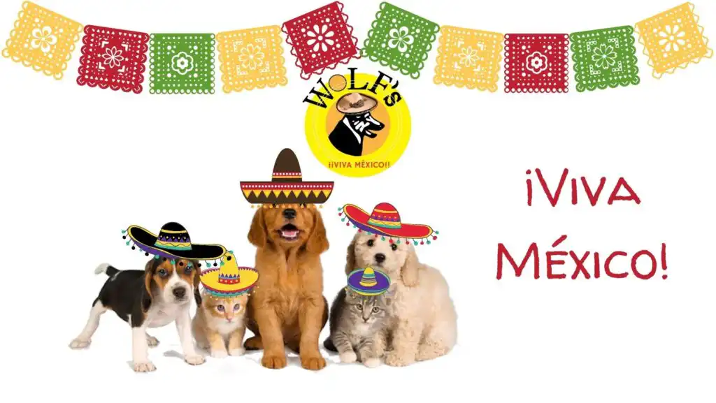 Veterinarians Animal Care Puerto Vallarta