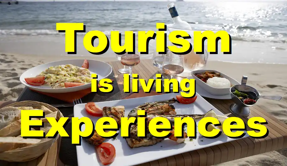 Learn Puerto Vallarta https://promovisionpv.com/ 1,000 pages