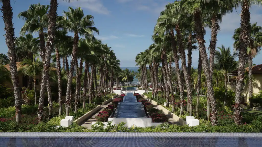 Puerto Vallarta the Best Destination to Retire. 
