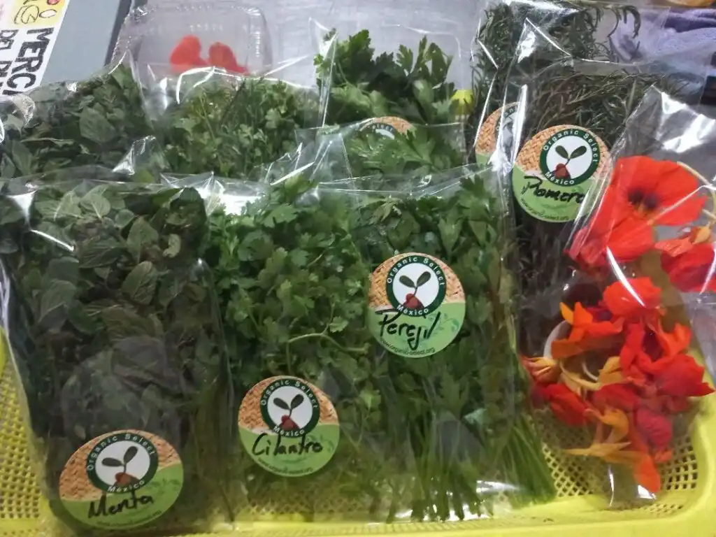 Vegetarian Restaurants in Puerto Vallarta. 