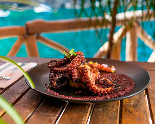 Discover Puerto Vallarta Ultimate Travel Guide