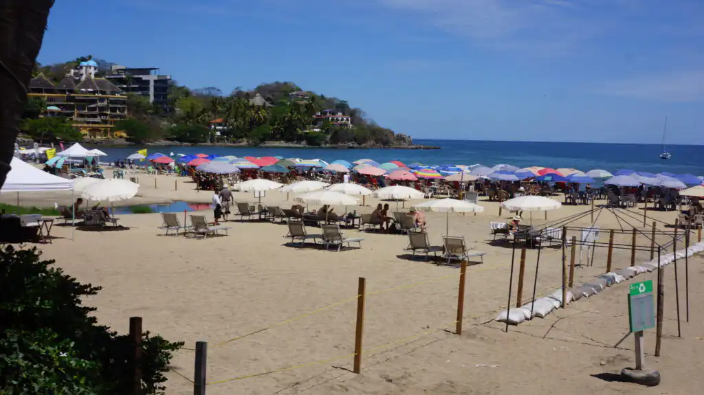 Guide to the Magical Sayulita, Nayarit