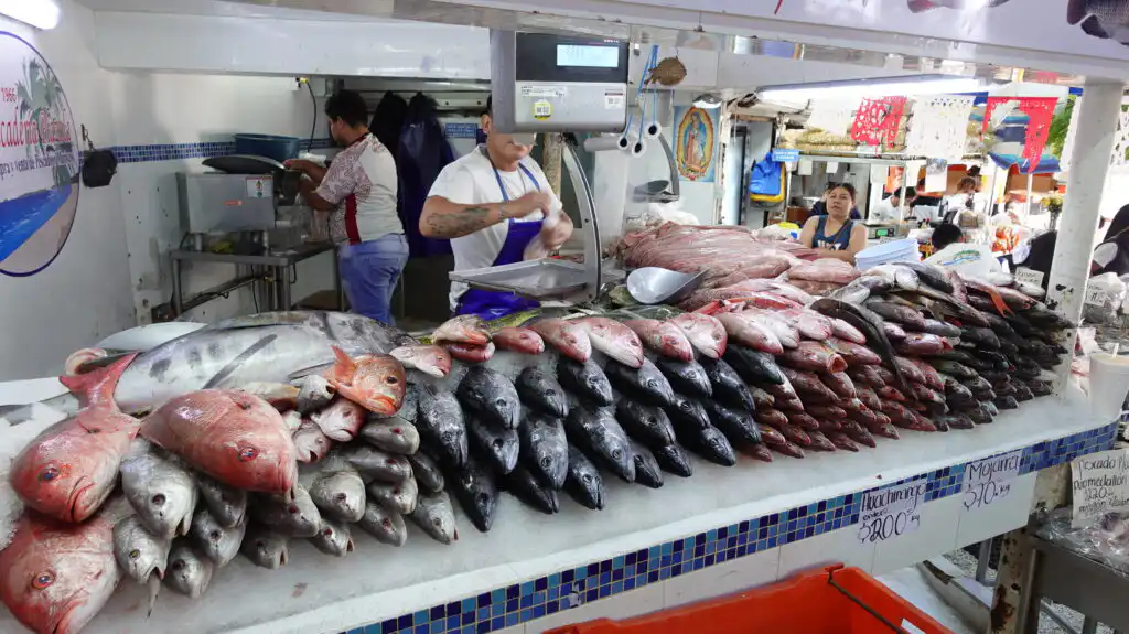 Shopping for Grocery in Puerto Vallarta