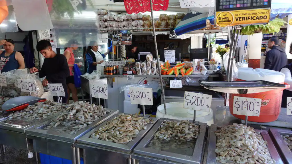 Shopping for Grocery in Puerto Vallarta