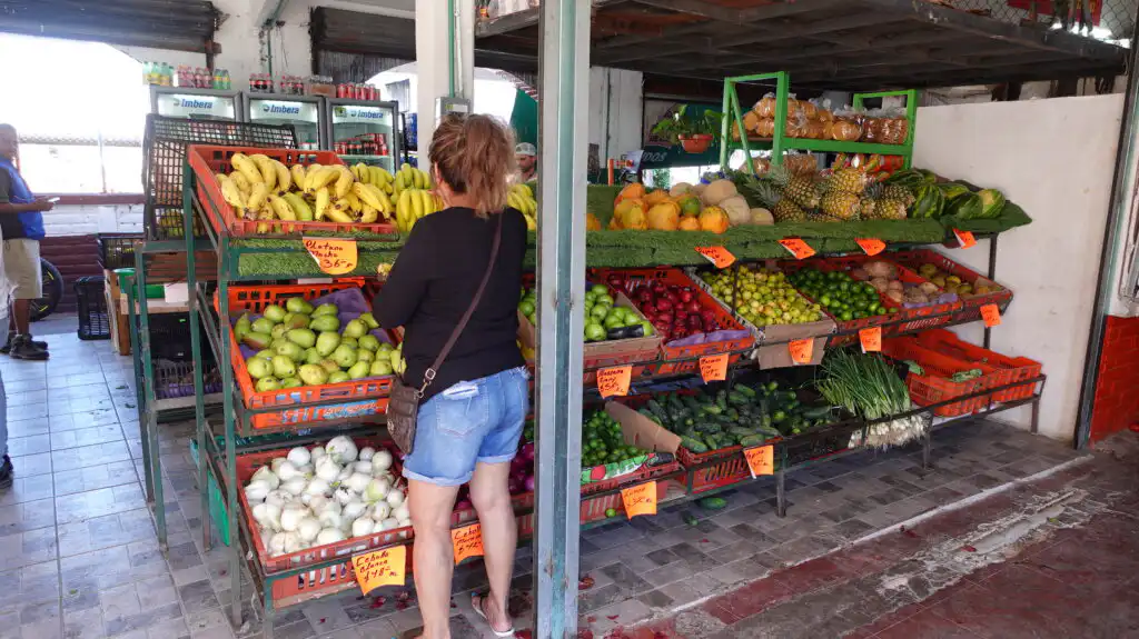 Shopping for Grocery in Puerto Vallarta