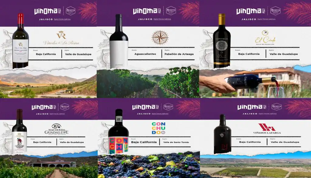 Mexican Culture experience Wines
