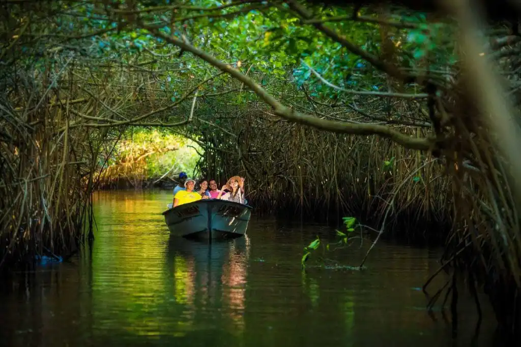 Nayarit's Newest Magical Towns