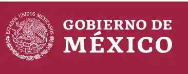 Mexico Customs and Immigration Rules