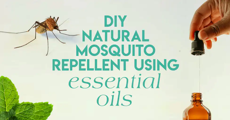 Mosquitos in Puerto Vallarta Natural Repellent.