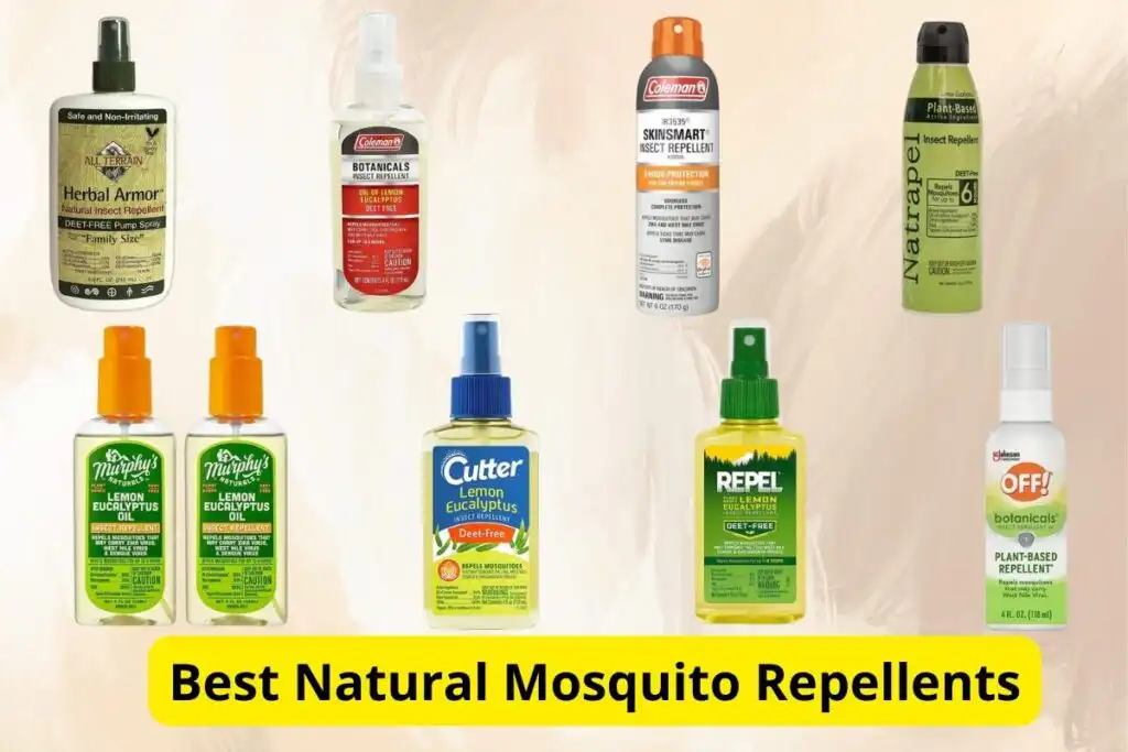 Mosquitos in Puerto Vallarta Natural Repellent.