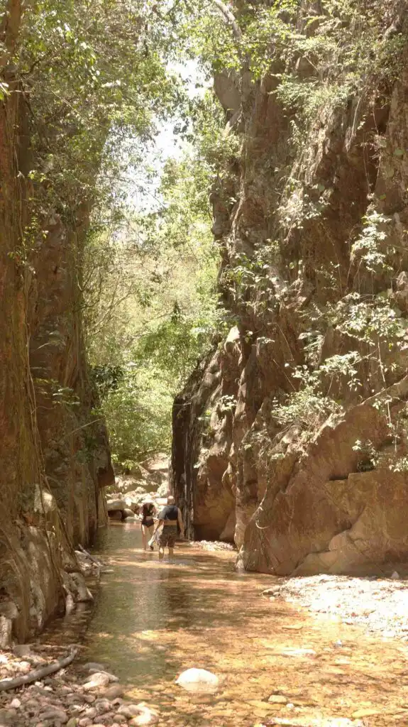 El Nogalito Eco Park Puerto Vallarta