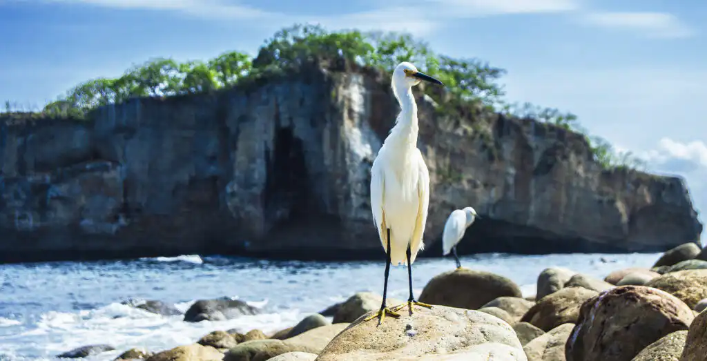 Puerto Vallarta's Natural Aquarium Los Arcos