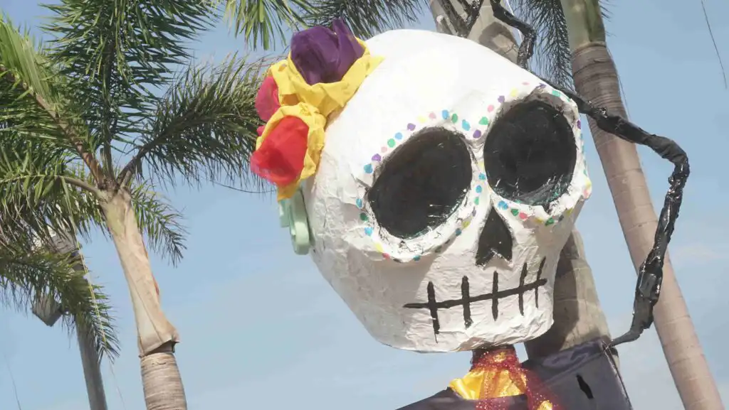 Celebrating Day of The Dead Puerto Vallarta. https://promovisionpv.com/ 1,000 pages