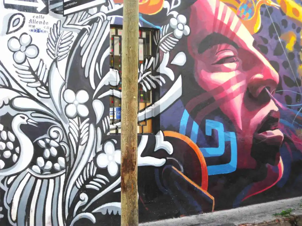 Puerto Vallarta Street Art Collection
