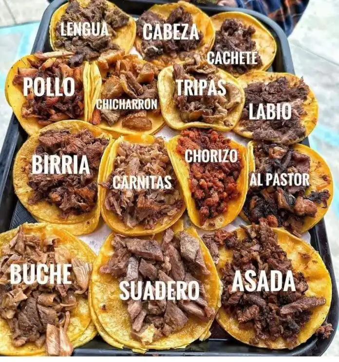 Getting Around Discovering Puerto Vallarta Tacos